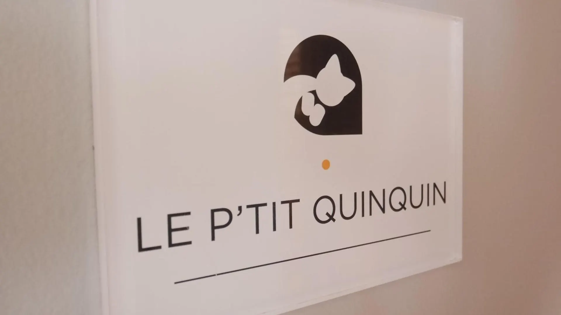 Appartement Au Chat Qui Dort Lille - Archives 18 Frankrijk