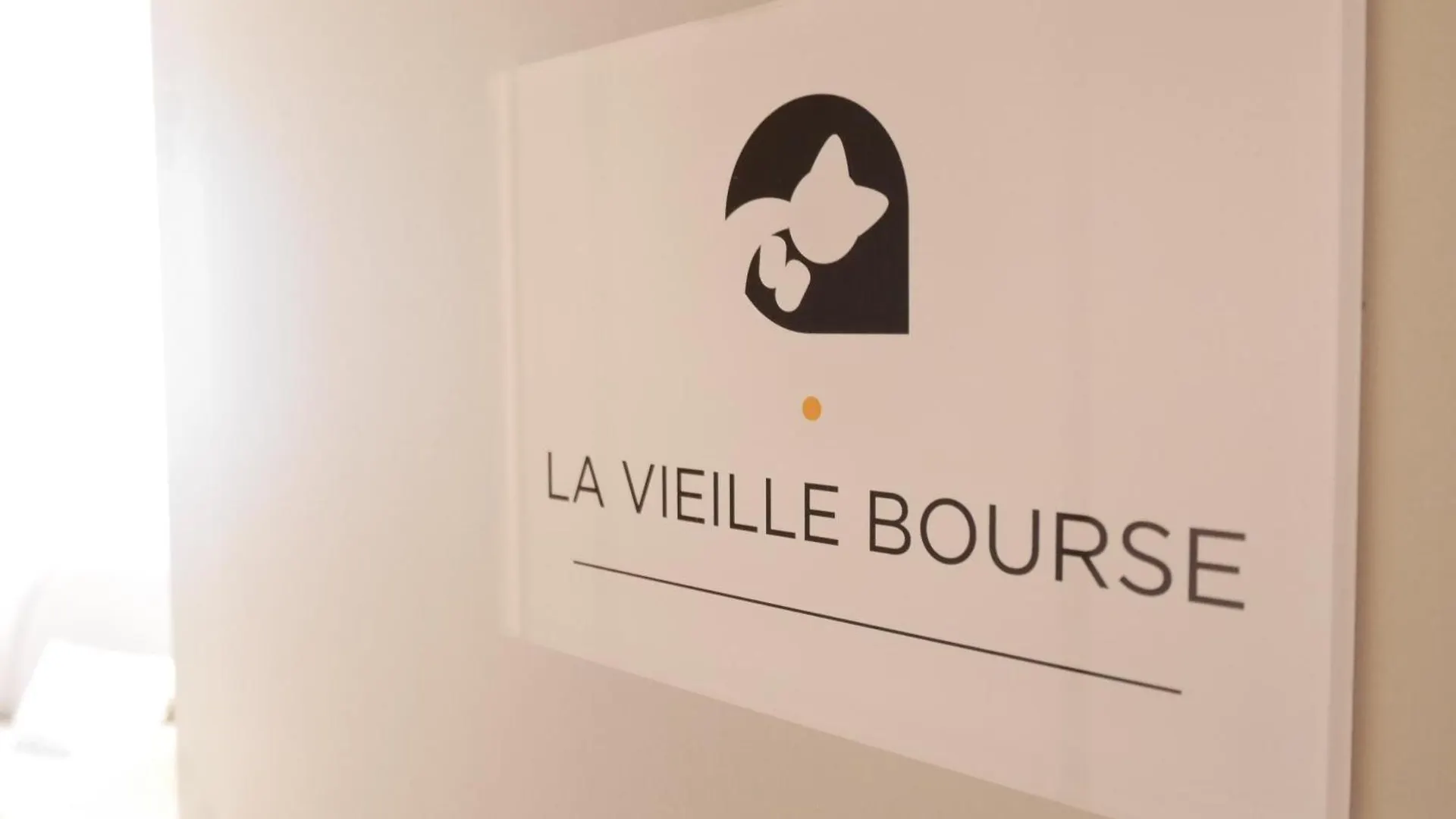Appartement Au Chat Qui Dort Lille - Archives 18 Frankrijk